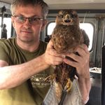 Aleksandr Chegodayev